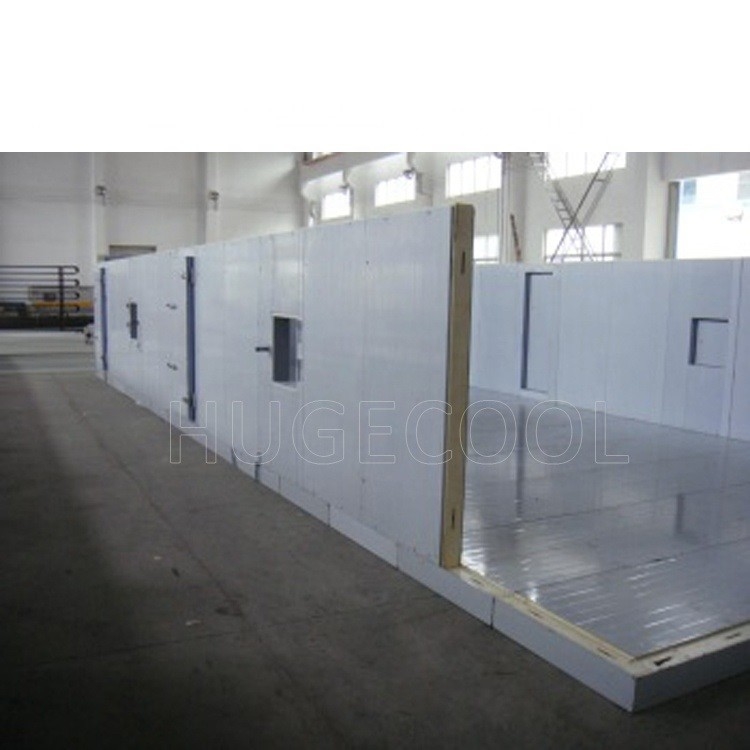 Poultry Meat Chicken Fish Freezer Cold Room Refrigerator Freezer