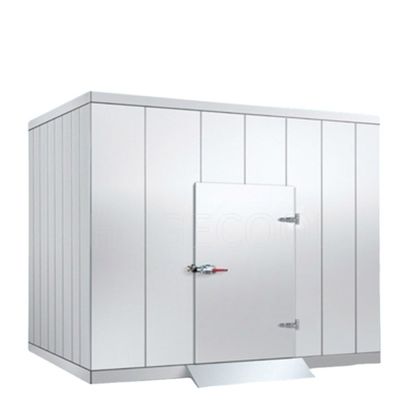Temperature minus 40 to plus 20 degrees Freezer Cold Room featuring Customization Door Size and Automatic System for Cold Storage