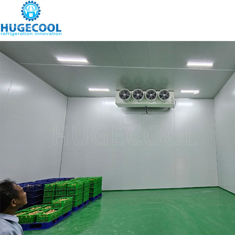 walk in freezer high productivity food storage cold room